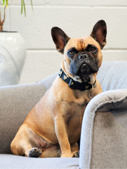 Guest relations team member at Grand Salon & Medspa in Denver